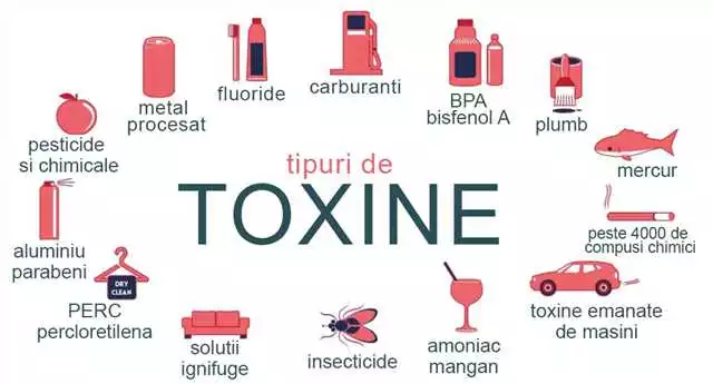 Ingredientele Detoxin: cum poate ajuta organismul tău să elimine toxinele | Detoxin