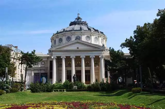 Ghid Complet De Achiziționare Pentru Ocuvit În București